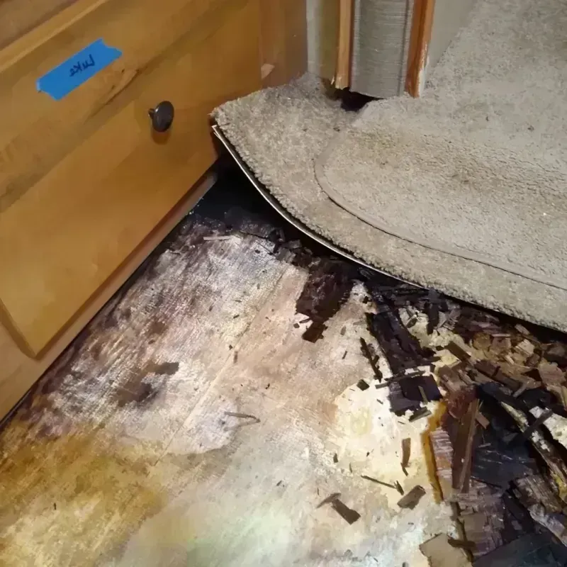 Best Wood Floor Water Damage Service in Glenville, OH